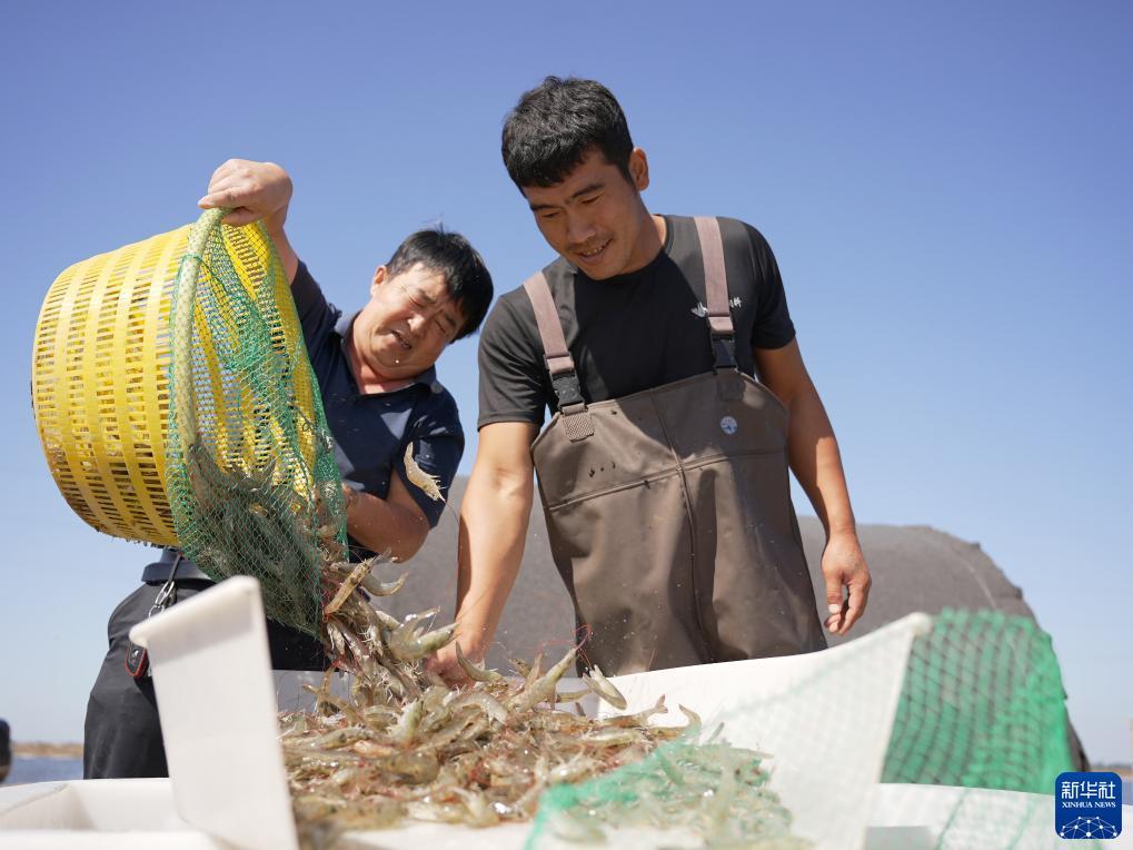大赢家软件下载